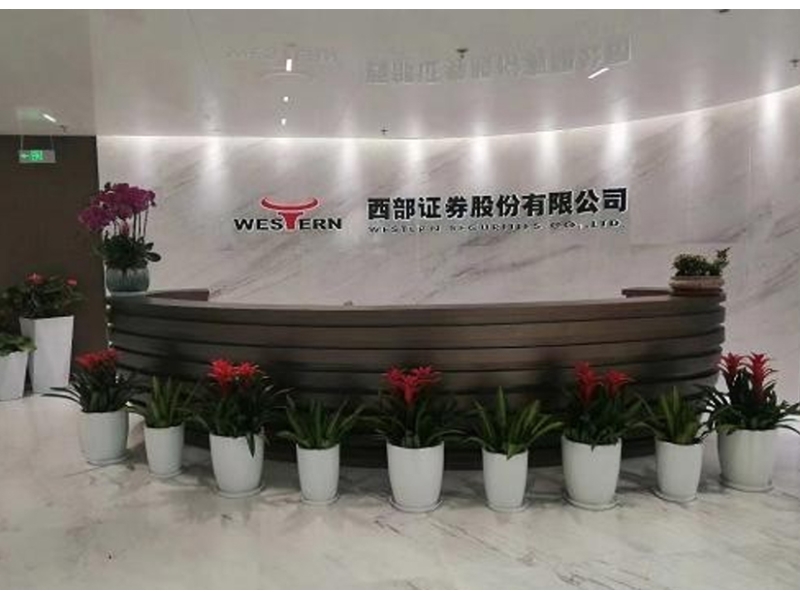 Western Securities
