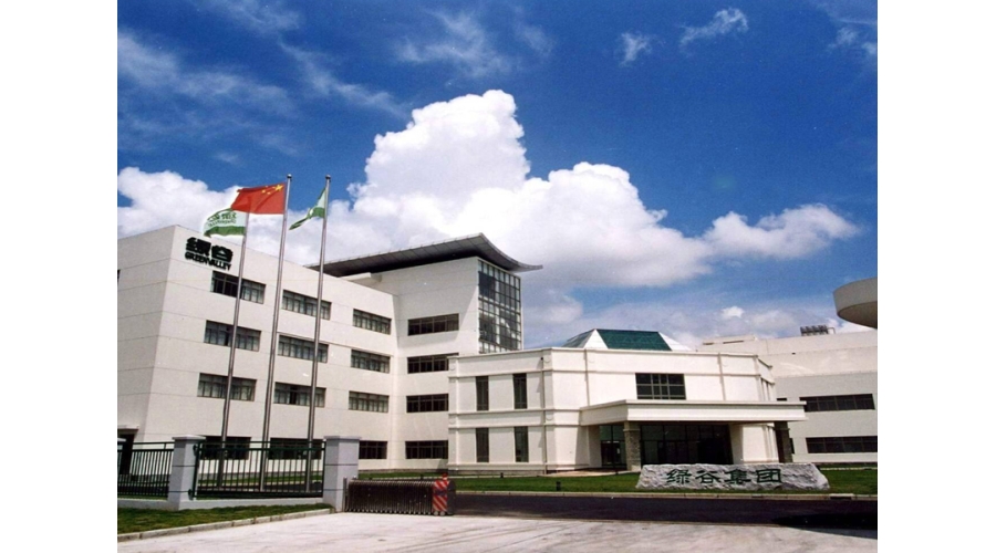 綠谷(集團(tuán))